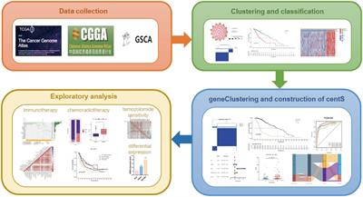 Molecular subtypes based on centrosome-related genes can predict prognosis and therapeutic responsiveness in patients with low-grade gliomas